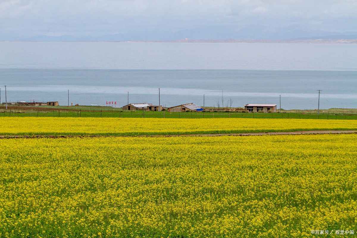 青海西宁有高原反应吗